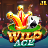 Wild Ace on Shooter Game